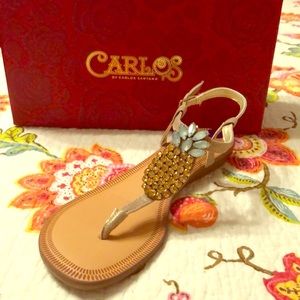 NWT in the box sandals